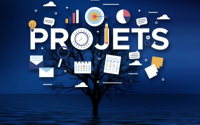 PROGRESSER EN GESTION DE PROJET – perfectionnement